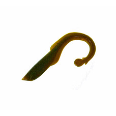 Arowana 116мм